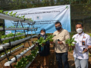 Gandeng SMKN 2 Subang, PT Dahana Gelar Pelatihan Hidroponik bagi Masyarakat Dahana-SMKN-2-Subang.jpg