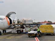 Tahap ke-69, Indonesia Kembali Terima Vaksin Pfizer 548991358e94b4b2f7f5aec4f37afa7c.jpg