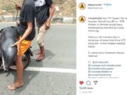 Paus Terdampar Dibawa Warga, Ini Kata KKP 576f1b8676b7ee8d9a30bffca6091910.jpg