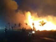 Lahan Kosong Terbakar di Perbatasan Kota Surabaya ceb036ccd2c6f5f8ccd8976be33aeaf8.jpg