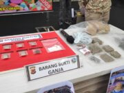 Dua Pengedar Ganja Diringkus Polisi Dari Tempat Berbeda e0c90ad737d344f9c1cb172139364b02.jpg