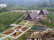 Tempat Wisata The Ranch Ciater: Tiket, Harga Makanan & Menu (November 2024) Mau Piknik ke The Ranch Ciater, Subang? Intip Dulu Infonya