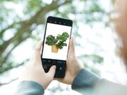 Abadikan Hobi Menggeluti Tanaman Hias wp-1630504460894.jpg