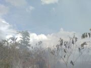 Karhutla di Lembah Seulawah Aceh Besar 276d475bee91522bcf10bffd3d9e5147.jpg