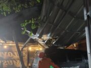 Akibat Angin Kencang, Dua Pohon Tumbang di Cengkareng 1300df4e4178e785091ea24529e13fec.jpg