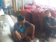 Harga Sayuran Murah, Petani dan Pengepul Merugi 594f4d490936bb0a5ef0207b6e276677.jpg