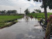 Diguyur Hujan Semalam, Akses Jalan di Desa Gunungsari Pagaden Terputus banjir-Gunungsari.jpg