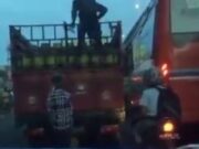 Bajing Loncat Gas Melon Merajalela di Tangerang e293343e2dd999ef883a0fe8f8df8e6c.jpeg