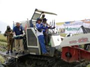 Panen Raya di Subang, Program Makmur Pupuk Indonesia Tingkatkan Produktivitas Hingga 44 % panen-raya-Subang.jpg