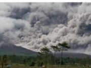 Gerak Cepat, BUMN Salurkan Bantuan Korban Semeru 118f7b8087997d11501dc57d052028e8.jpg