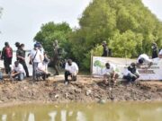 TJSL BUMN Indhan Berkolaborasi Tanam Pohon di Legonkulon Subang tanam-pohon.jpg