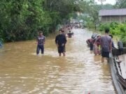 Dua Kecamatan di Kalimantan Barat Dilanda Banjir 9d6500f81acf5304d322554d52bca5a3.jpg
