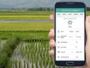 Apa itu Pertanian Digital dan Penerapannya di Indonesia apa itu pertanian digital indonesia