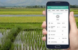apa itu pertanian digital indonesia