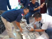 Penyelundupan Ratusan Ribu Benih Lobster Digagalkan 329a1534f398488b131c93227b55e691.jpg