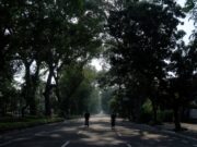 Hari Raya Nyepi, Jadi Momentum Introspeksi Diri 8a4b57d25d0fa661051d0d0d7ee76e9e.jpg