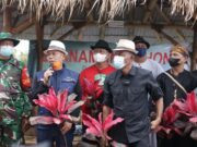 Jaga Lingkungan Hidup, DLH Subang Sarankan Tanam Pohon Hias dan Buah-buahan dc1bb1430fe40b0bdfd01970700faae9.jpg