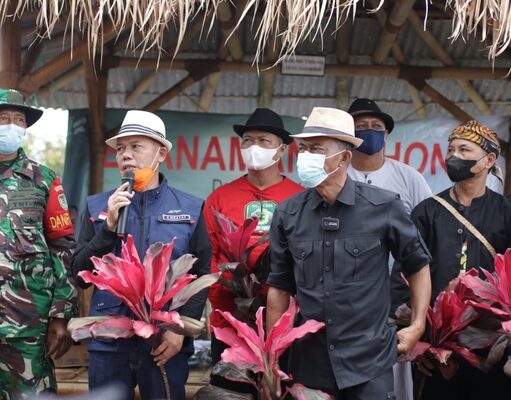 Jaga Lingkungan Hidup, DLH Subang Sarankan Tanam Pohon Hias dan Buah-buahan dc1bb1430fe40b0bdfd01970700faae9.jpg