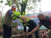 Bupati Ruhimat Tanam 2 Ribu Pohon di Sepanjang Jalur Wisata e7f0eb9f3267157942b655f2092d4f88.jpg