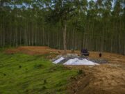 Makna Air dan Tanah Dibawa ke IKN fb0add03642b5dd8d35379ddf80da850.jpg