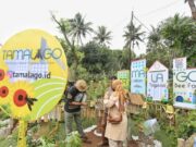 Buruan SAE Festival, Wujud Apresiasi Kelompok Urban Farming 02f8c3ec4ce3988b52e5545ae91d71cb.jpg