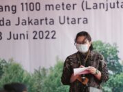 Kemenkomarves Apresiasi Penanaman Mangrove KCN 313929618695d749818dbb152bc593de.jpg