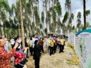 Presiden Optimis Pembangunan IKN Berjalan Lancar 34a7cedd9454f5263cb18b8154109b7a.jpg