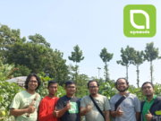 Kembangkan Melon Exclusive di Subang, Agromuda Bertani Gandeng PT NBS