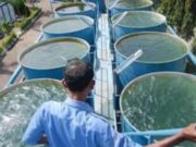 Dituding Tertutup untuk Media, Dirut Perumda Subang: Fokus Internal Dulu PDAM.jpg