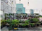 Intip Hasil Kamera realme GT NEO 3 dan realme GT NEO 3T Screenshot_2022-06-21-06-51-26-377_com.simplemobilephotoresizer_copy_800x548-1.jpg