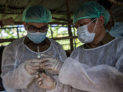 Baznas Jamin Hewan Kurbannya Bebas PMK b9048c3370dda6c96fcf086914fdcecf.jpeg