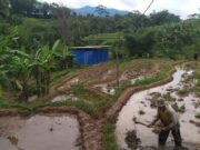 Diduga Tanpa Izin, Warga Tengarai Mata Air Ciburial di Cikancung Mengalir Ke Industri mata-air-Ciburial.jpg