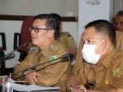 Wabup Subang Sentil Soal Kasus Positif Covid-19 Meningkat Lagi 71ff660c8c6c757d9e39fe329afce521.jpg