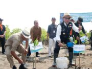 Hari Lingkungan Hidup, Bupati Subang dan Gubernur Jabar Tanam Mangrove Atasi Abrasi IMG-20220630-WA0035.jpg