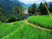 Jelajah Ekowisata yang Penuh Kearifan Budaya Lokal di Kampung Banceuy, Hasil Kolaborasi Pabrik AQUA Subang dengan Masyarakat dan Para Pihak banceuy.jpg