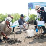 ridwan-kamil-tanam-mangrove.jpg