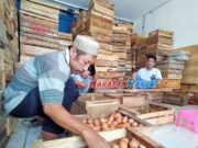 Harga Sejumlah Kebutuhan Pokok di Pasar Banjar Melandai, Harga Telur Masih Tinggi Harga-Sejumlah-Kebutuhan-Pokok-di-Pasar-Banjar-Melandai.jpg