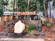 Wana Wisata Pokland Cianjur Jawa Barat Wana-Wisata-Pokland-Cianjur.jpg