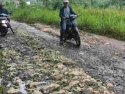 Warga Mandalamekar Tasikmalaya Dambakan Jalan Mulus, 20 Tahun Rusak Berat c1_z2_IMG_20220816_161612_-182a5f841c9_1_-182a5f9e3e3_2.jpeg