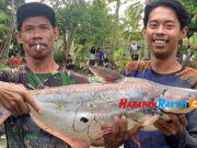 Lomba Ngubyak Balong Meriahkan Semarak Kemerdekaan di Banjar ngubyak-balong.jpg