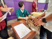 Hari Rabies Sedunia, DKP3 Kota Tasikmalaya Vaksinasi Rabies Gratis 251ae5b7995db35176c0f24e178c277e.jpg