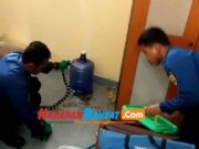 Petugas Damkar Banjarsari Ciamis Evakuasi Ular Weling di Ruang Kantor Sekolah Damkar.jpg
