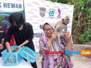 Kisah Poni, Monyet dari Ciamis yang Divaksin di World Rabies Day Poni-Monyet-dari-Ciamis.jpg