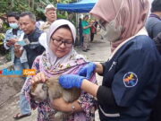 Puluhan Hewan Peliharaan Disuntik Vaksin Rabies di Ciamis Puluhan-Hewan-Peliharaan-Disuntik-Rabies-di-Ciamis.jpg