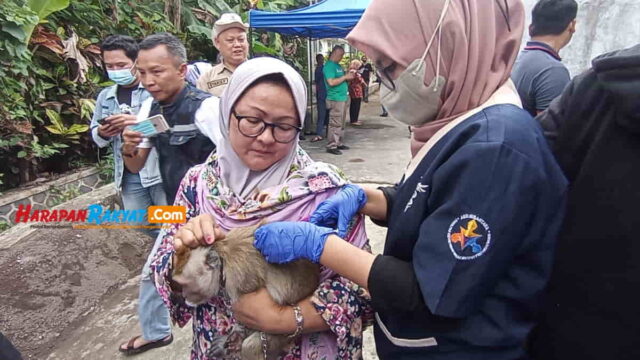 Puluhan-Hewan-Peliharaan-Disuntik-Rabies-di-Ciamis.jpg