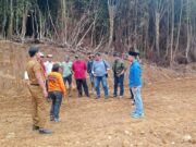 DPRD Subang Sidak Aktivitas Penggundulan Hutan di Wilayah Ciater sidak-DPRD.jpg