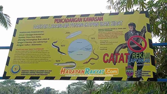 Ciamis-Masuk-Daerah-Pelarangan-Penangkapan-Ikan-Sidat-oleh-KKP.jpg