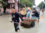 Dilanda Banjir, Dua Lokasi Objek Wisata di Pangandaran Tutup Sementara Dilanda-Banjir-Dua-Lokasi-Objek-Wisata-di-Pangandaran-Tutup-Sementara.jpg