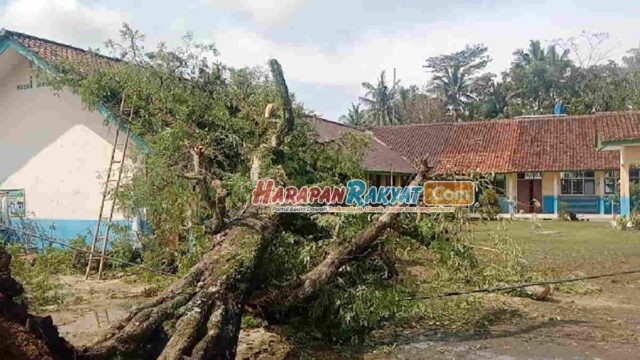 Dua-Sekolah-di-Pangandaran-Tertimpa-Pohon-Tumbang-dalam-Semalam.jpg