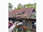 Tertimpa Pohon, Genteng Rumah Warga Pangandaran Hancur Genteng-Rumah-Warga-Pangandaran-Hancur.jpg